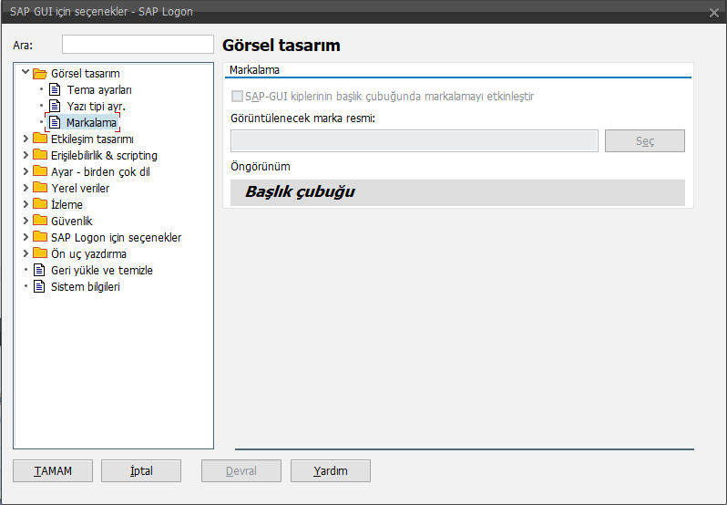 SAP Logon(GUI) ekranına özel görsel eklemek